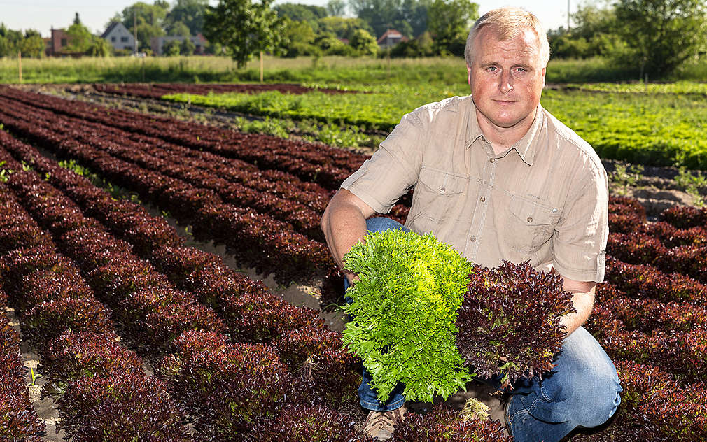Pan Miliš Špitálský nám ukázal rozmanité druhy salátů