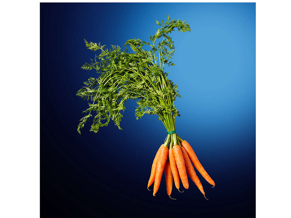 Čerstvé mrkve - svazek