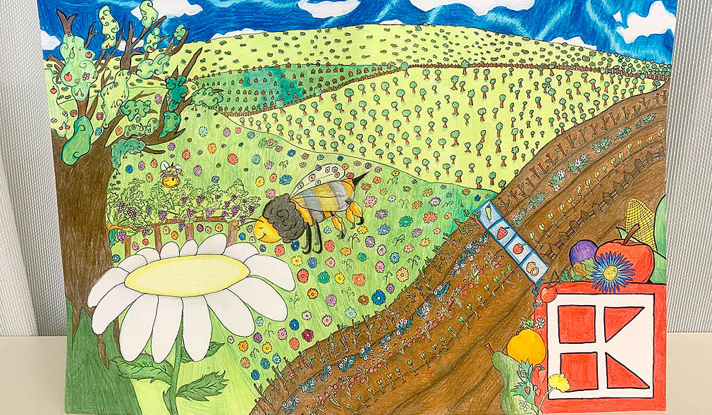 Fotografie to súťaže ,,Ukáž, ako zdravo žiješ"