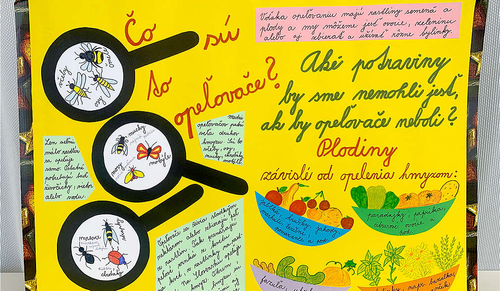 Fotografie zo súťaže ,,Ukáž, ako zdravo žiješ"