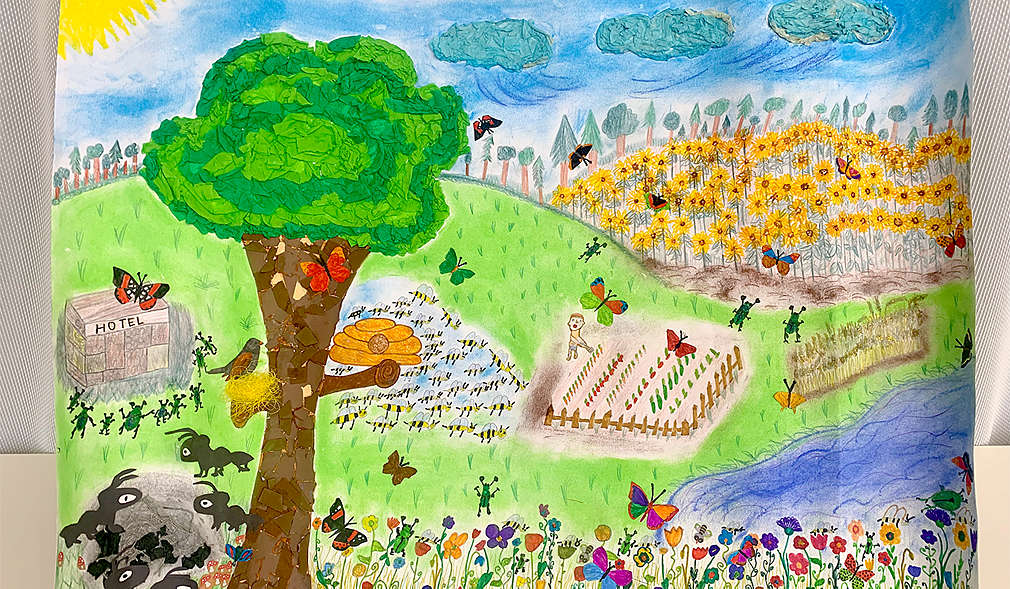 Fotografie zo súťaže ,,Ukáž, ako zdravo žiješ"