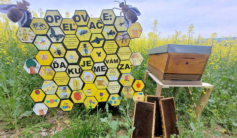 Fotografie zo súťaže ,,Ukáž, ako zdravo žiješ"