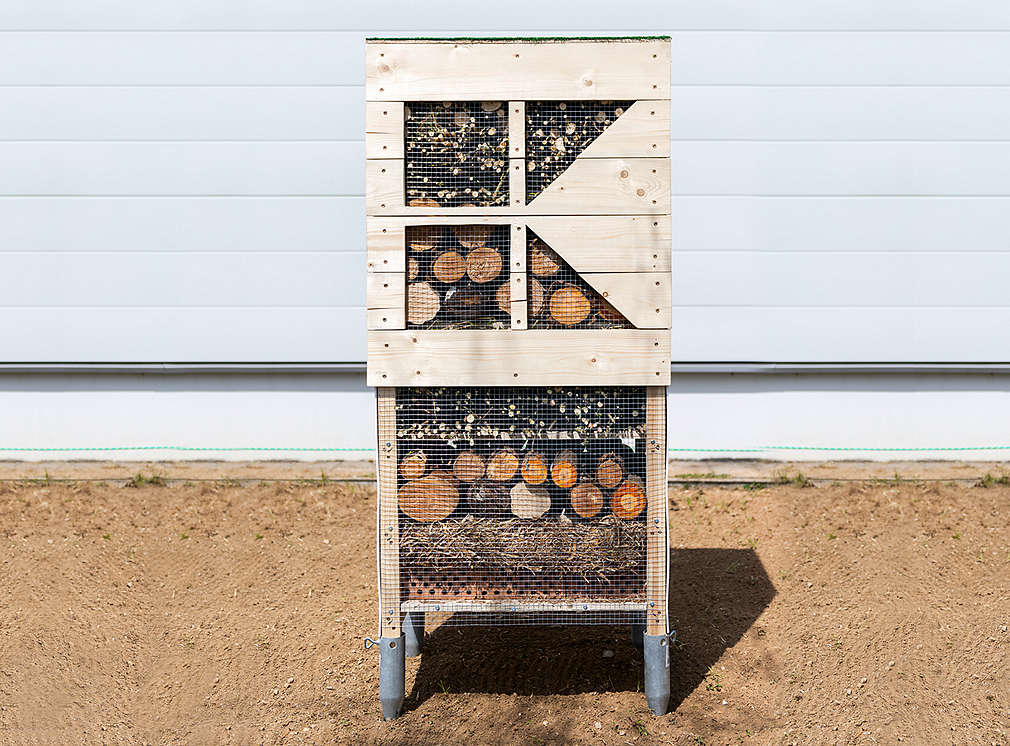 Hmyzí hotel pri predajni Kaufland