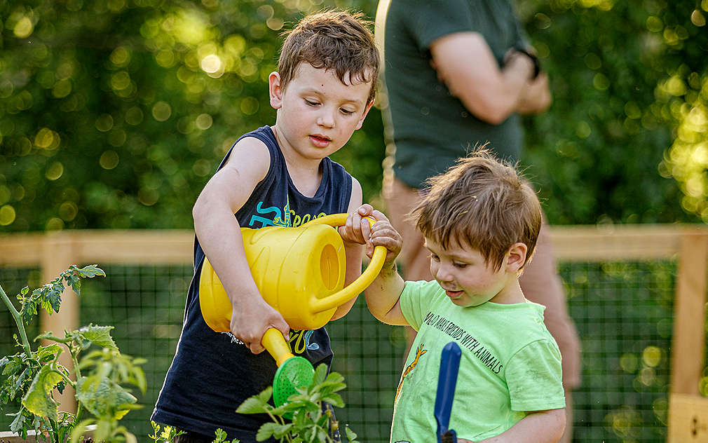 Dva malí chlapci zalévají záhon se sazeničkami.