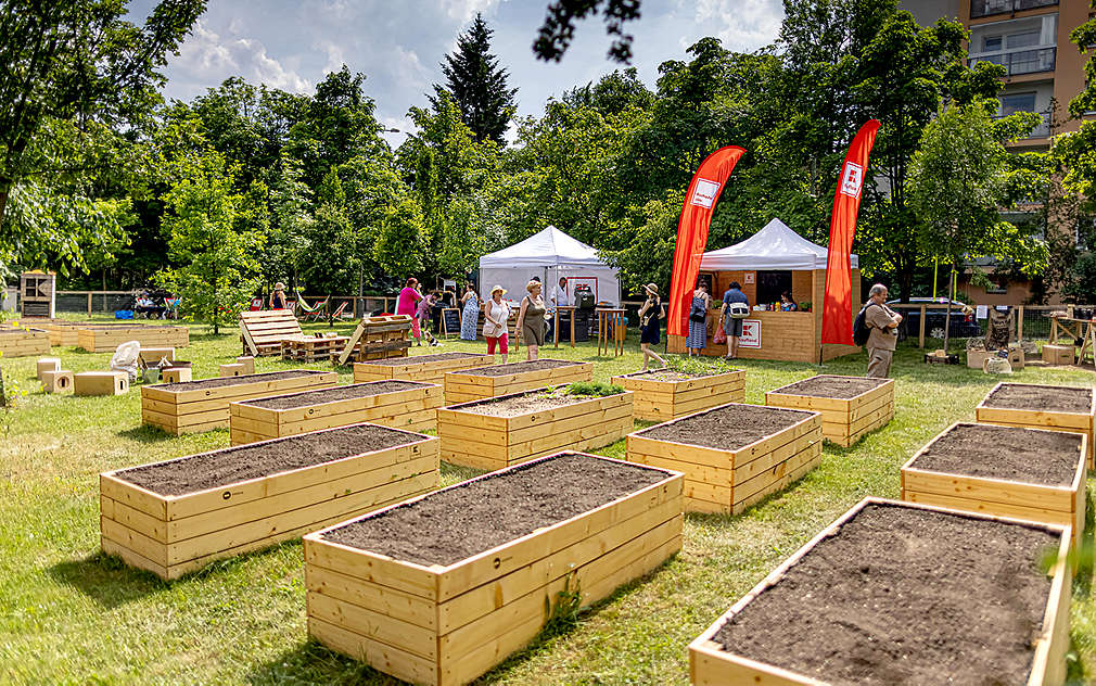 Vyvýšená záhony v komunitní zahradě Vypich