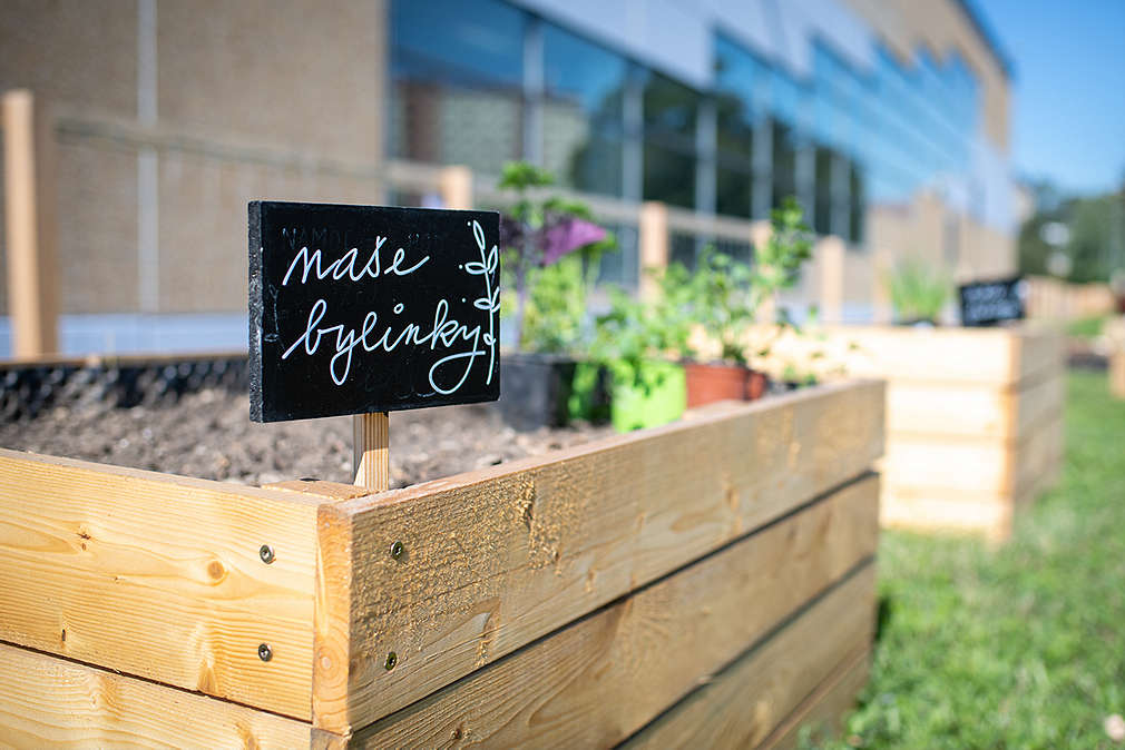 Vyvýšený záhon s cedulkou s nápisem „naše bylinky".