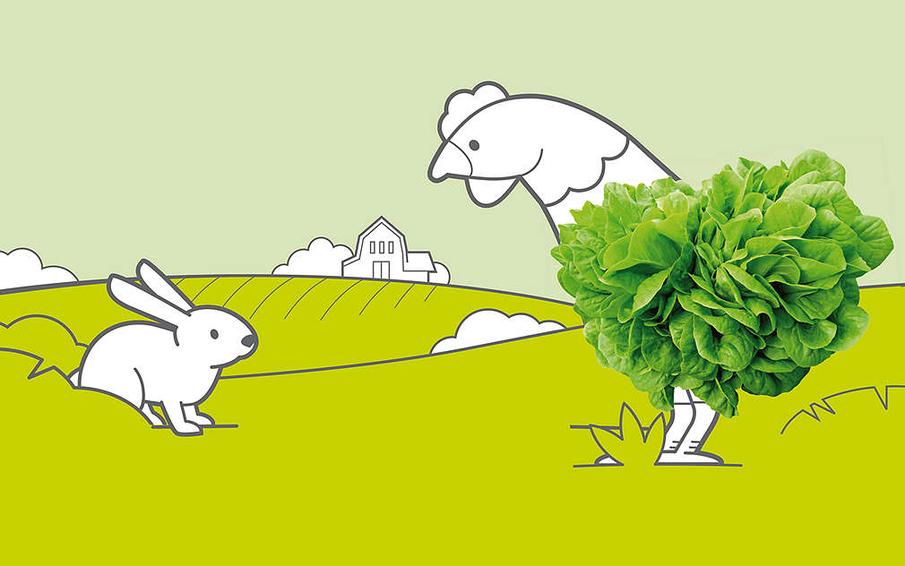 Mi djelujemo za dobrobit životinja