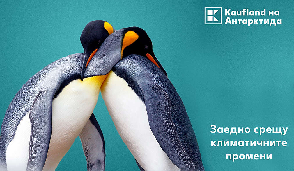 Изображение на два прегърнати пингвина