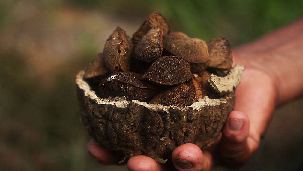 Para ořechy v misce držené jednou rukou 