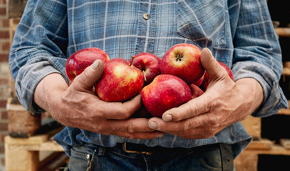 Bauer hält Äpfel
