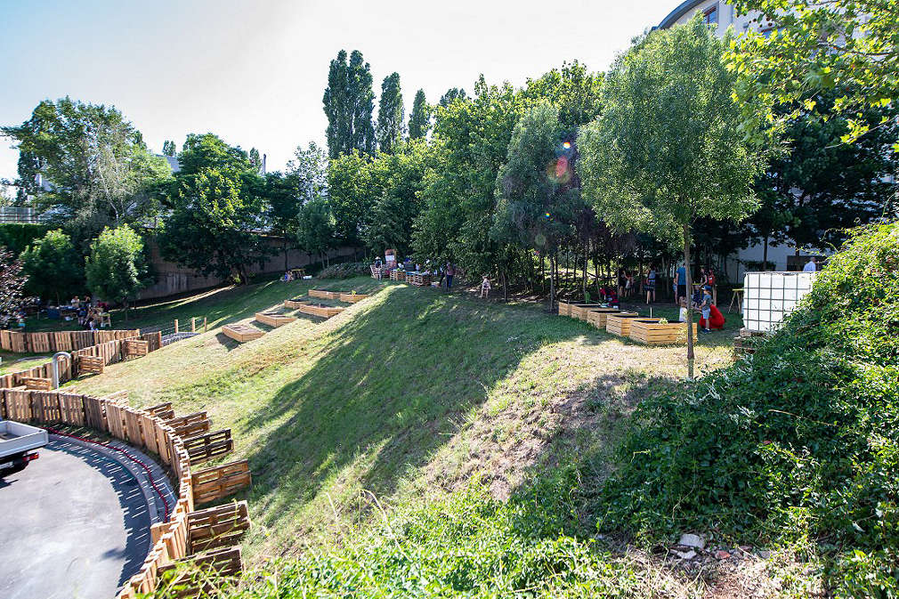 Komunitní zahrada Podbaba