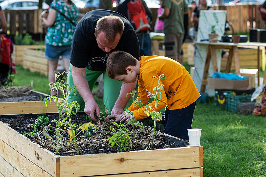 Muž se synem sázejí rostlinky.