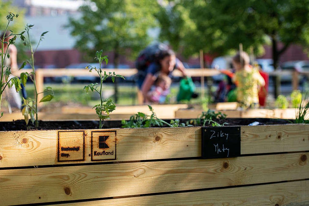 Vyvýšený záhon se štítkem