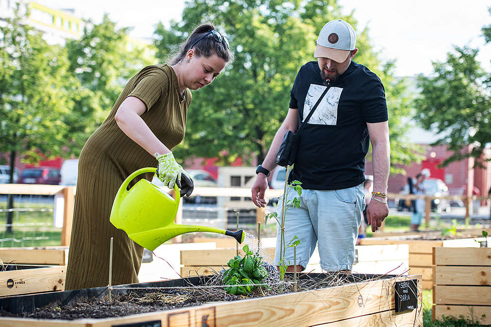 Muž a žena zalévají záhon.