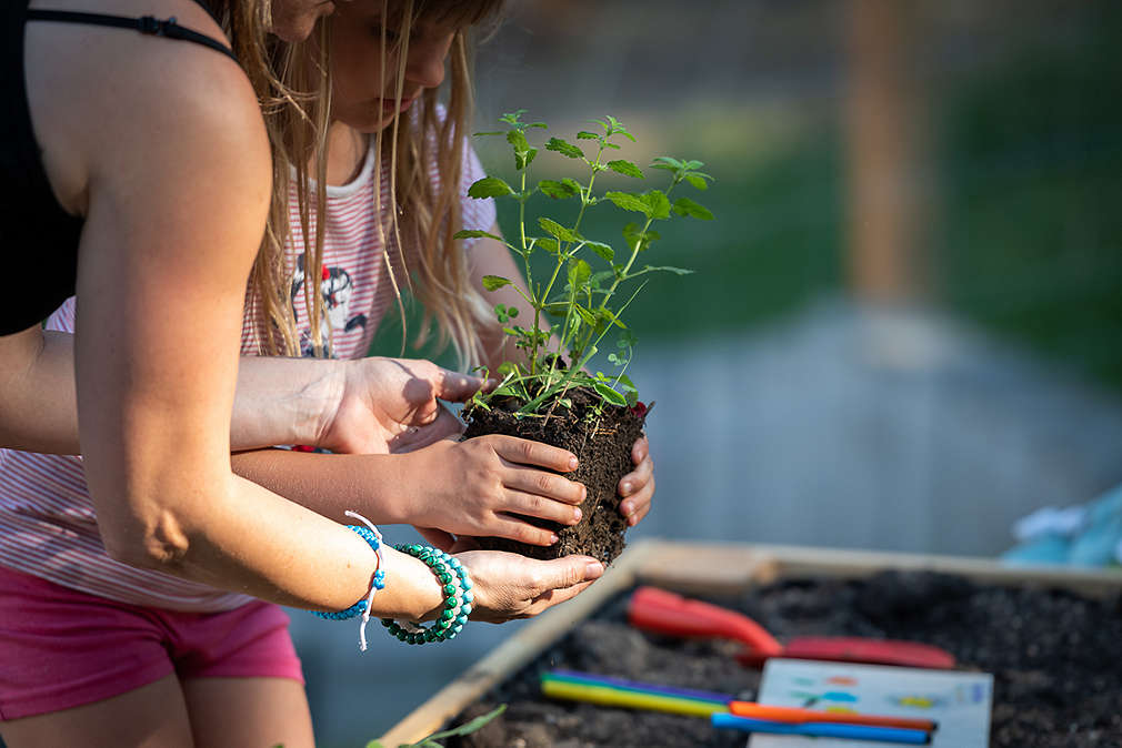 Žena s dítětem sázejí nové sazeničky do záhonu.