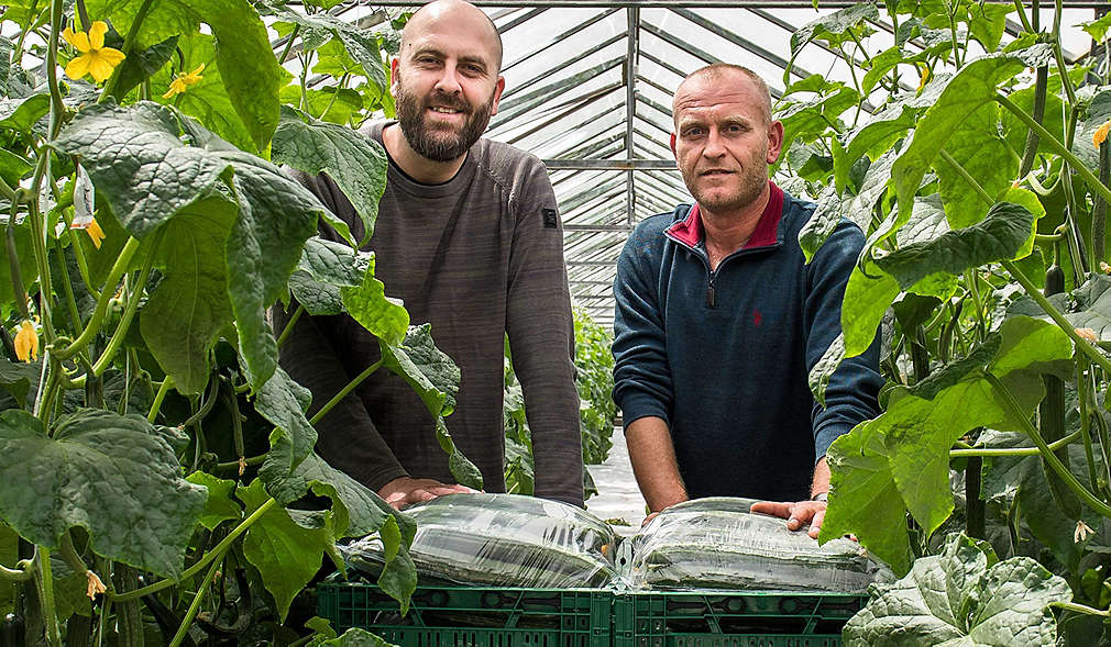 Нашите производители - фирма "Гард Инвест"