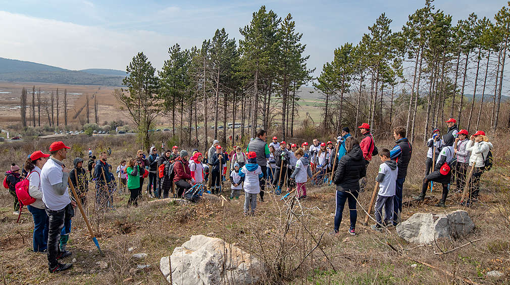 Отбор Kaufland по време на залесяването