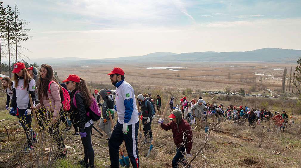 Отбор Kaufland по време на залесяването