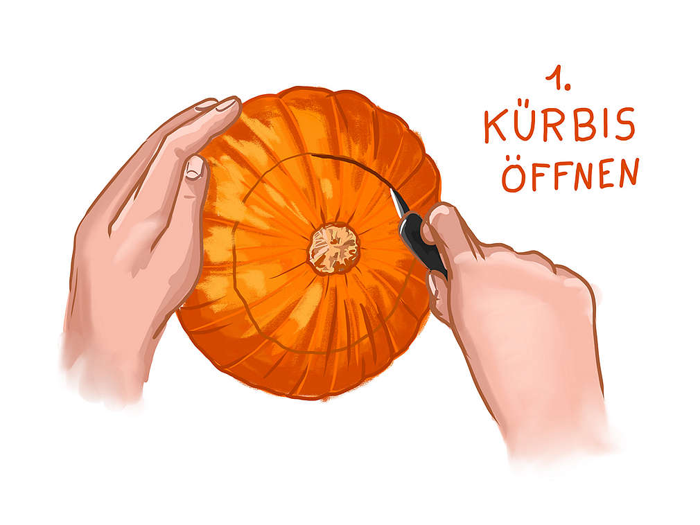 Anwendungsgrafik: Kürbis öffnen