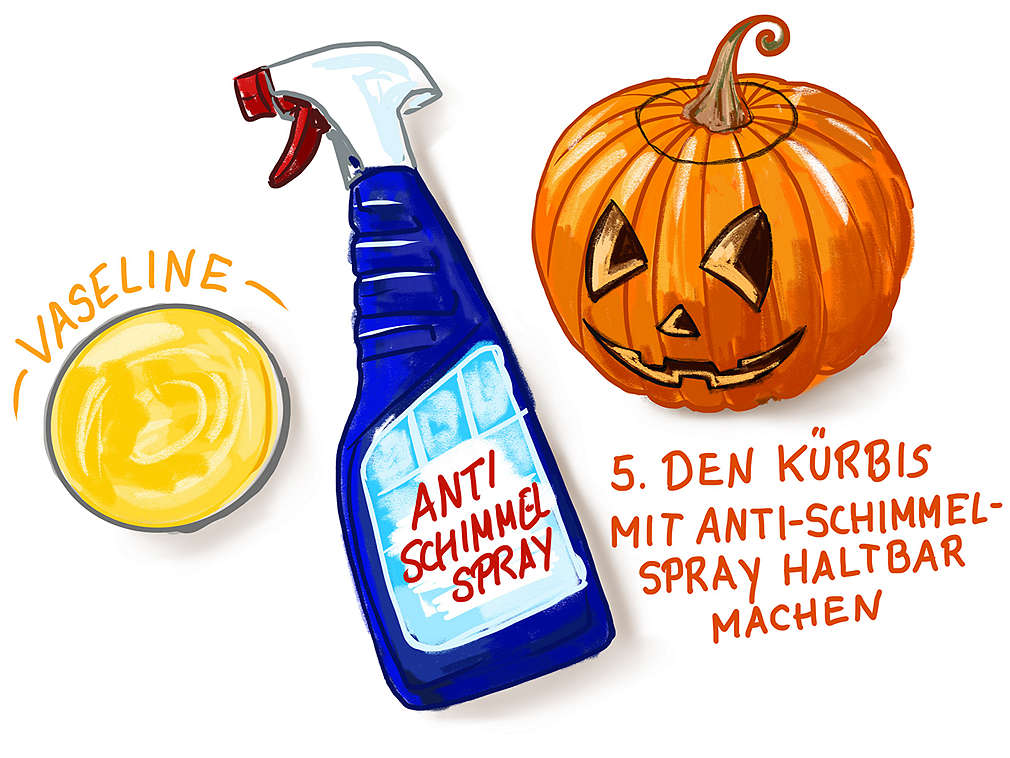 Anwendungsgrafik: Den Kürbis mit Anti-Schimmel-Spray haltbar machen