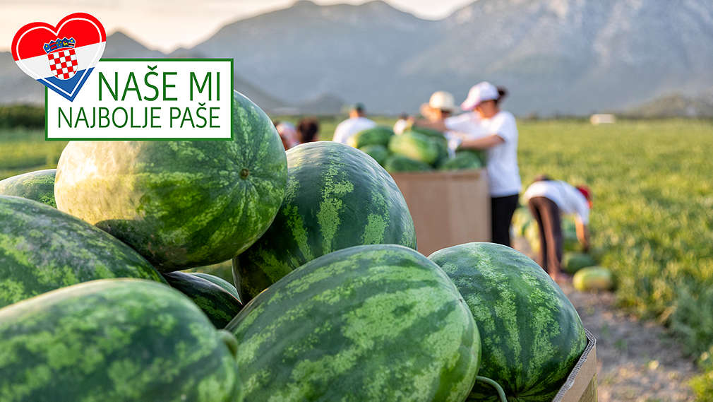 Slatke lubenice i dinje iz doline Neretve