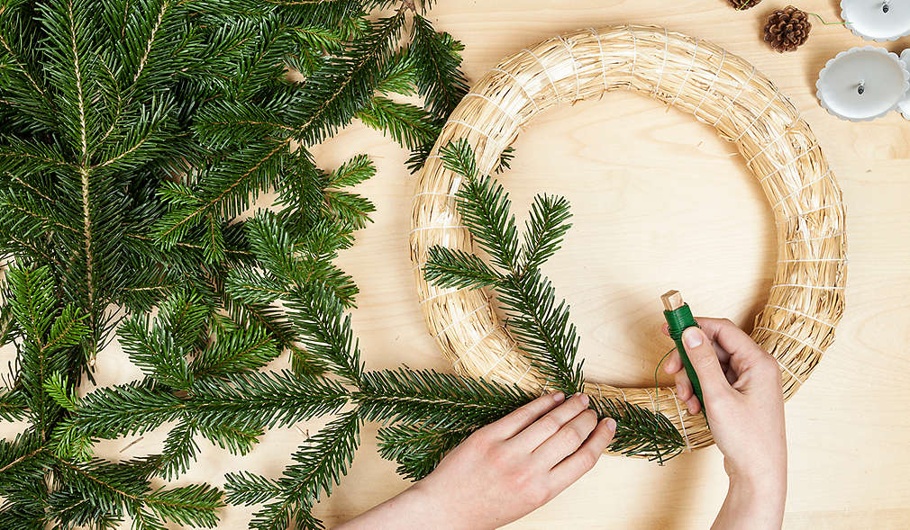 Ein Strohkranz wird mit Tannenzweigen umwickelt