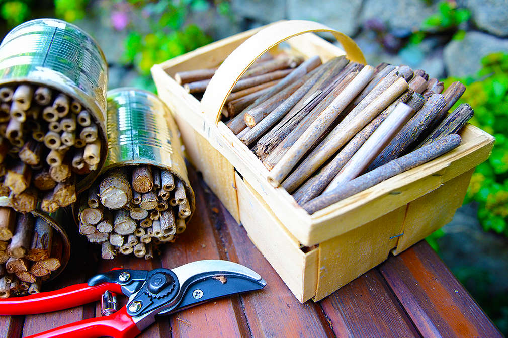 Holzstöckchen liegen in einem Korb, links daneben befinden sich drei Dosen, die mit Holstöckchen ausgefüllt sind. Davor liegt eine Gartenschere