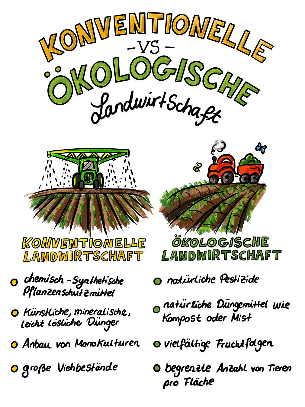 Infografik konventionelle vs. ökologische Landwirtschaft