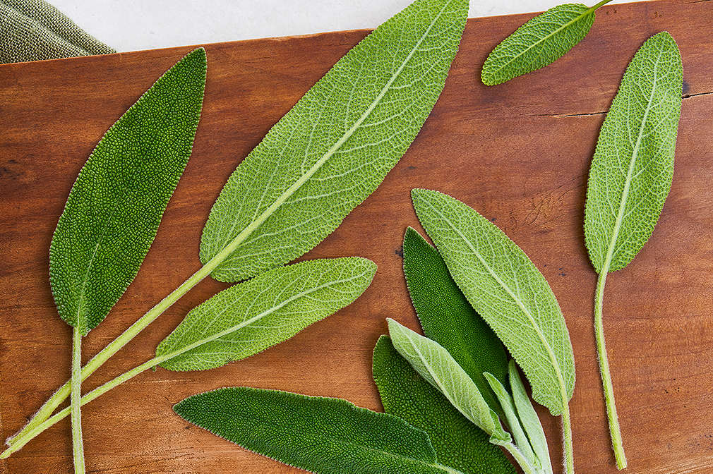 Salbeiblätter auf einem Holzbrett