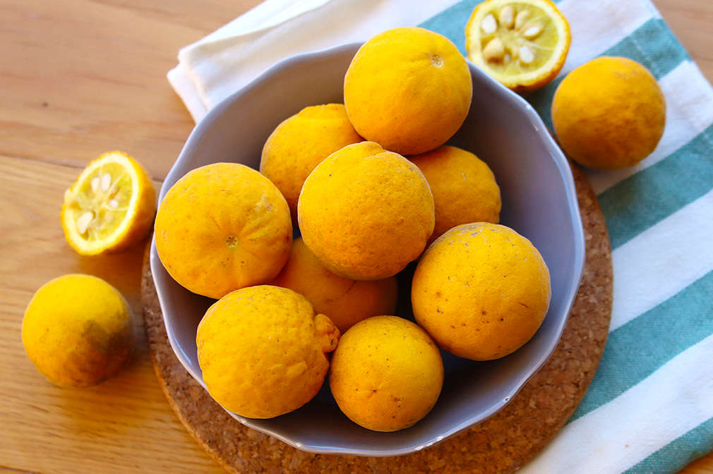 Eine Schale mit Bitterorangen auf einem Holztisch, daneben liegt ein gestreiftes Küchentuch