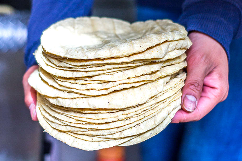 Mehrere Weizentortillas gestapelt in der Hand eines Mannes mit blauem Pullover 