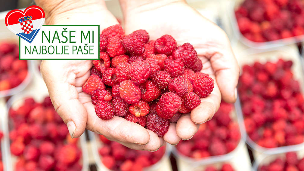 OPG Ivančan - domaće bobičasto voće iz ekouzgoja