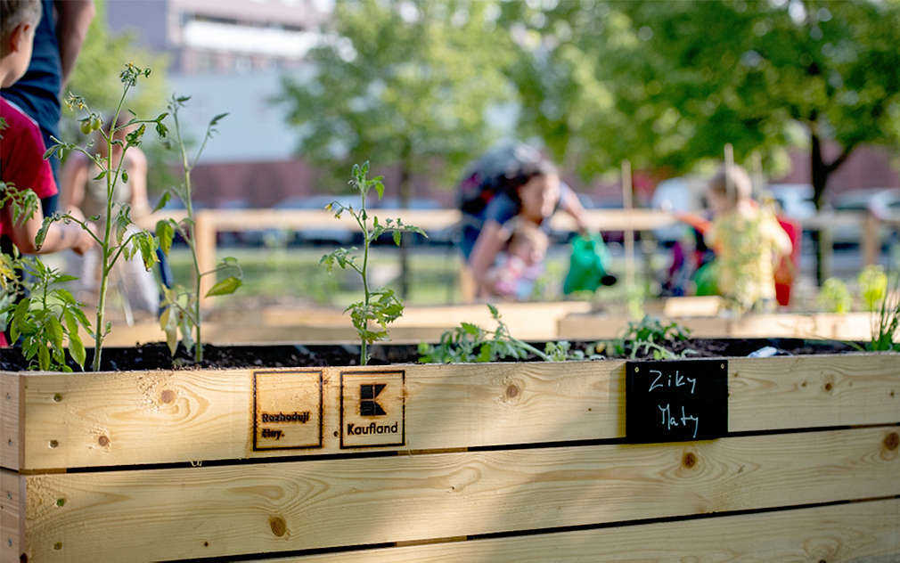Záhonek v komunitní zahradě