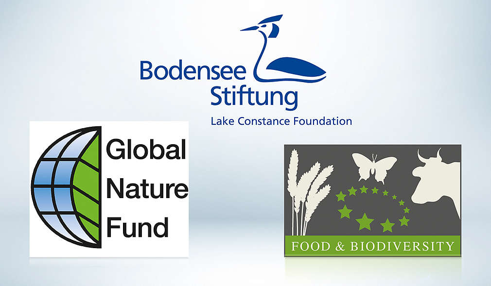 Logo der Bodensee Stiftung, des Global Nature Funds und Food and Biodiversity