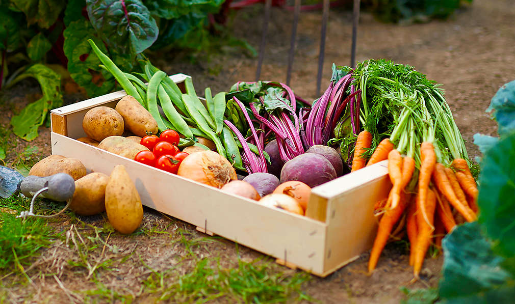 Gemüse in Kiste
