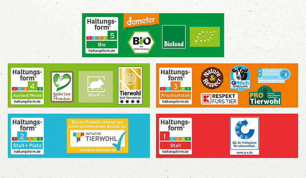 Vier-Stufen-System Haltungsformen