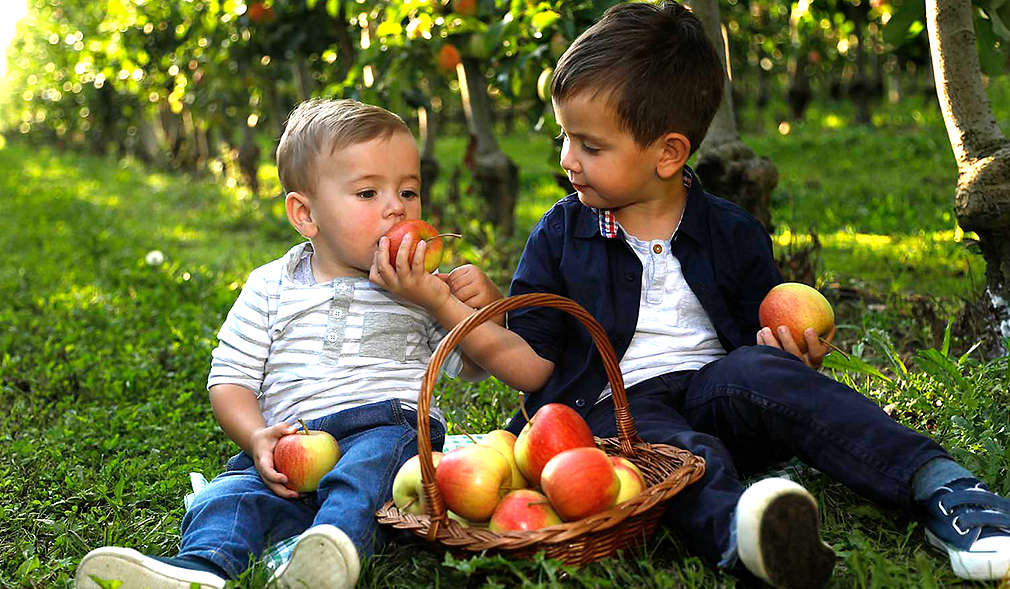 OPG Čeh - domaće jabuke - djeca