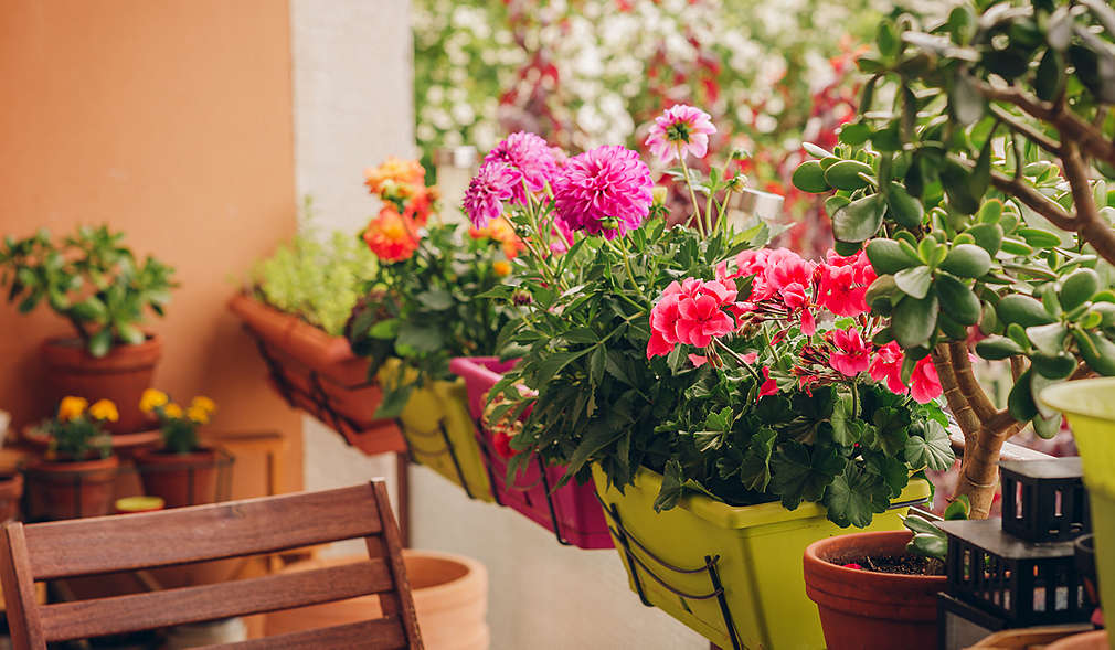 Organizarea balconului