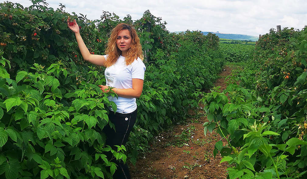 Нашите производители - Семейство Стоянови от град Попово