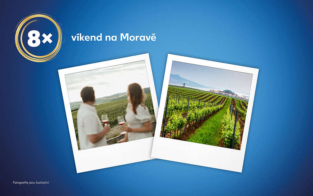 8x víkend na Moravě (fotky: Moravská vinice a degustace vína u vinice)