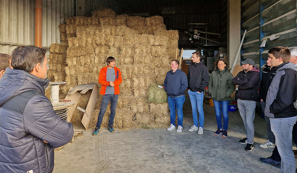 Regionaltreffen 2025