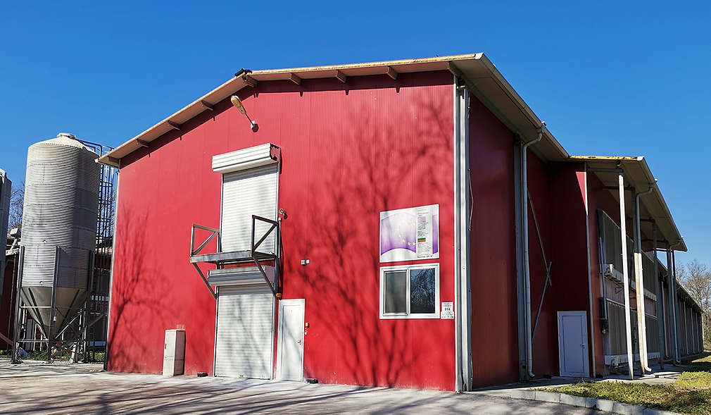 Нашите производители - Яйца и птици Зора