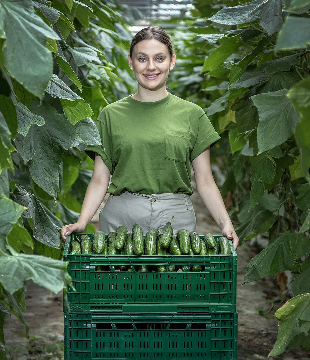 „Грийнс“ ООД