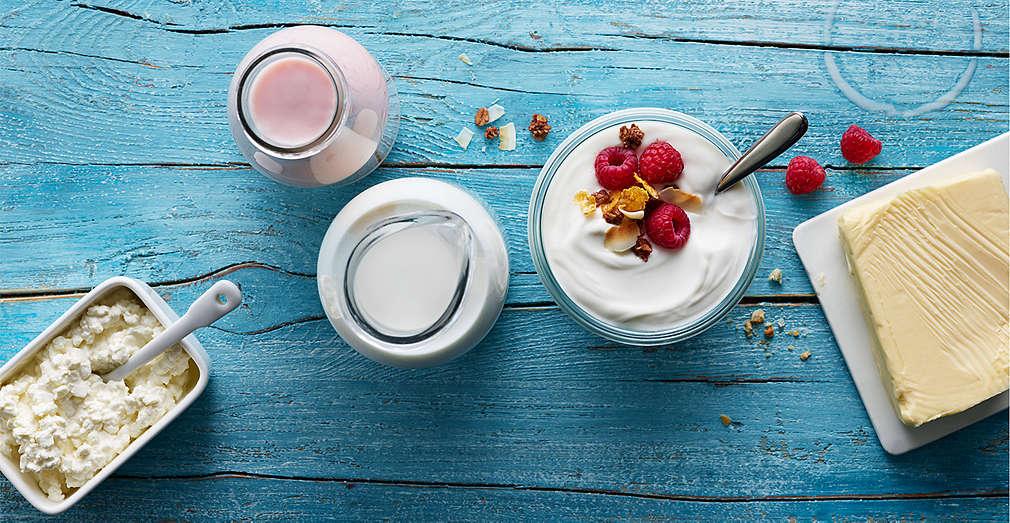 Lactate in catalogul cu oferte