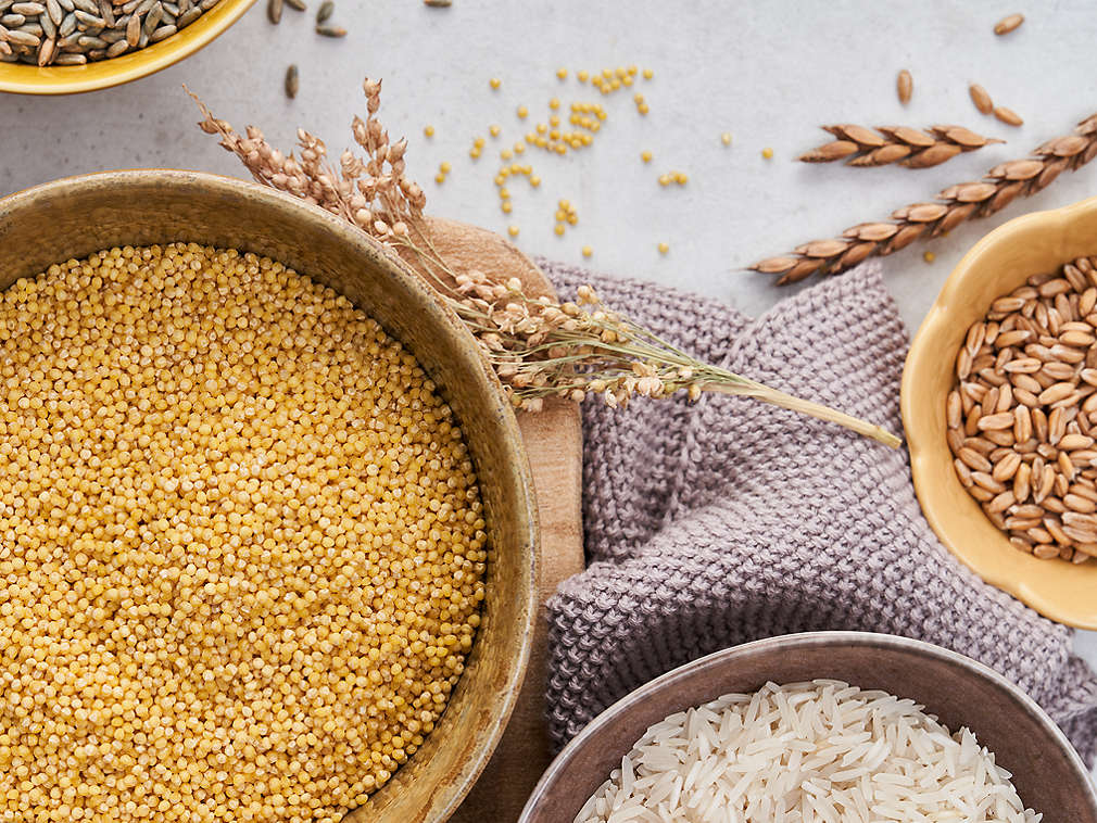 Различные сорта зерновых культур, подробный вид