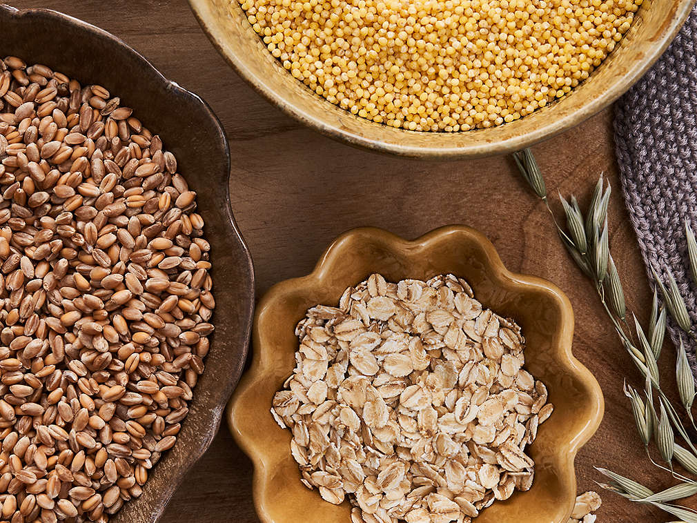 Различные сорта зерновых культур, подробный вид