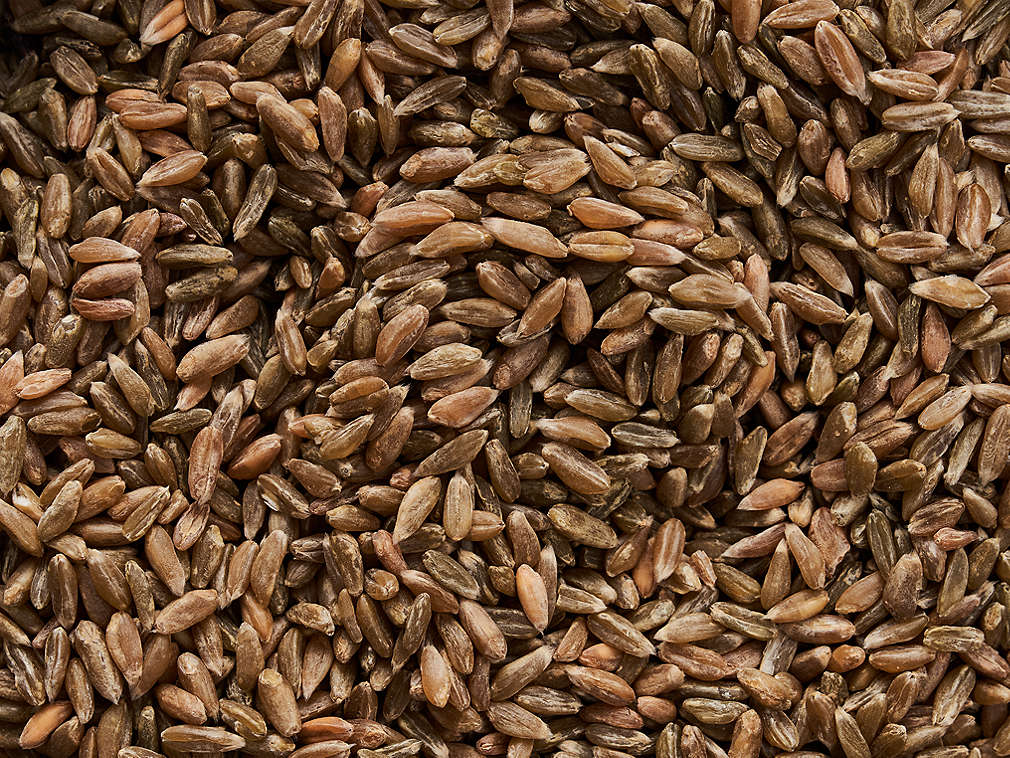 Speltă verde în detaliu