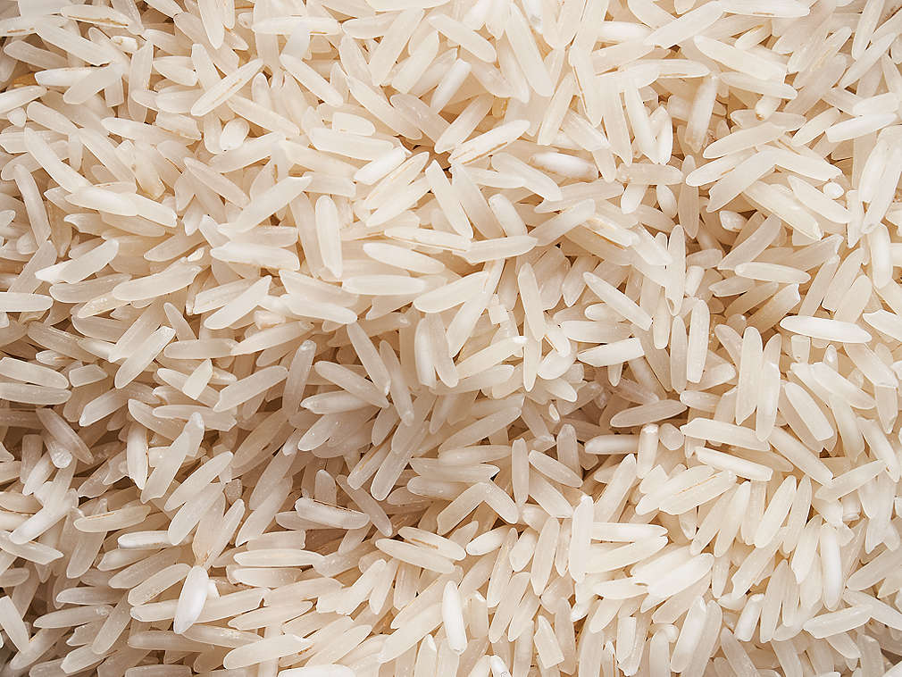 Reis in der Detailansicht