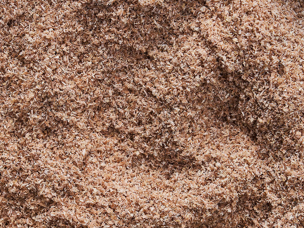 Tărâțe de grâu în detaliu