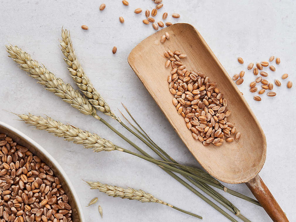 Weizen in der Detailansicht